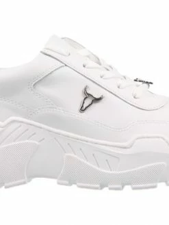 Windsor Smith E316 CARTE WHITE