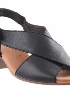 Stegmann M1020 OOZE BLACK