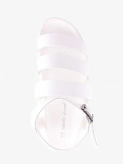 Isabella Brown R1081 DOROTHY WHITE